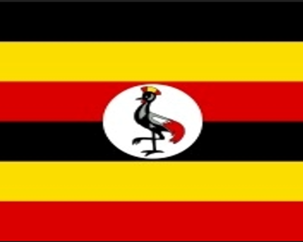 png_1.png_1680466551